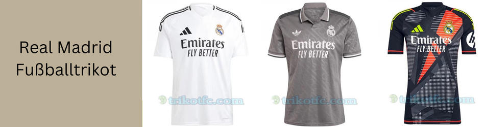 Premier Paint Protection, Coatings & Window Tint Shop in Roanoke, TX
                